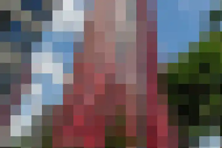 Wijnbrugstraat 94 Rotterdam thumbnail 45