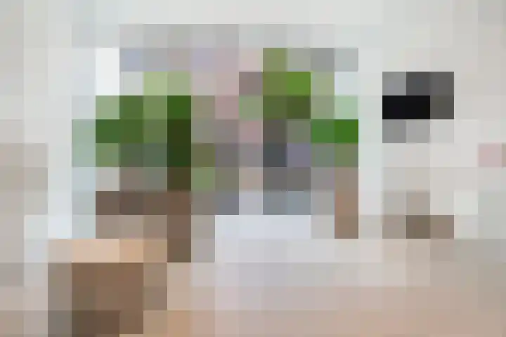 Wijnbrugstraat 94 Rotterdam thumbnail 8