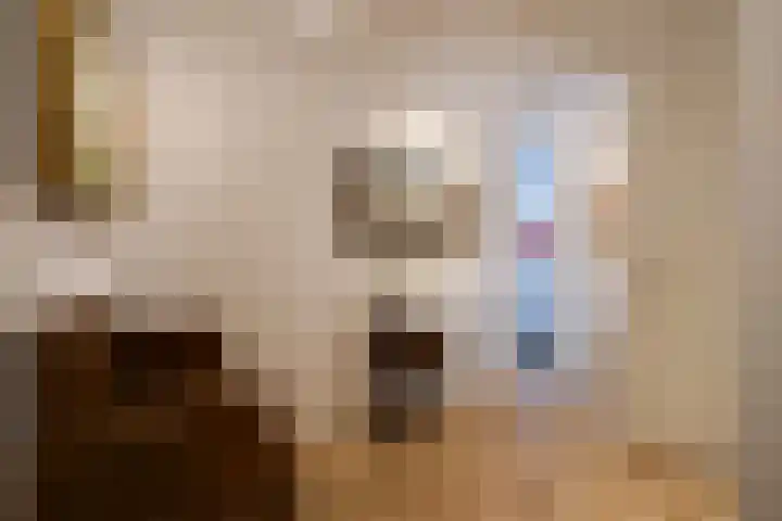 Wijndaelerweg 1 J Den Haag thumbnail 10