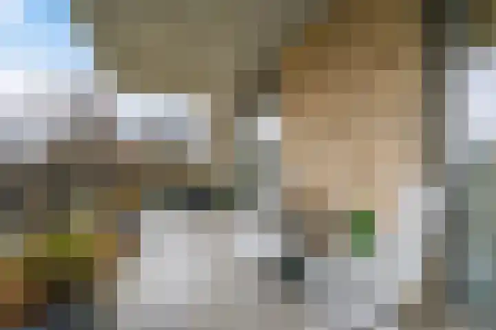 Wijndaelerweg 1 J Den Haag thumbnail 15