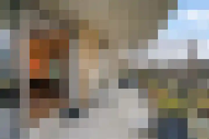 Wijndaelerweg 1 J Den Haag thumbnail 17