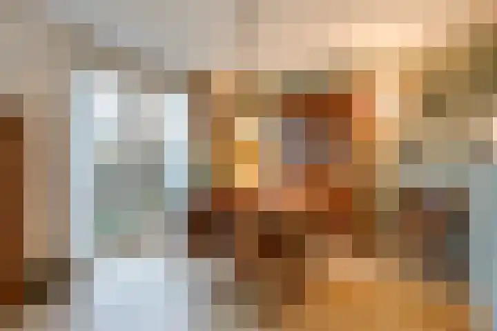Wijndaelerweg 1 J Den Haag thumbnail 21