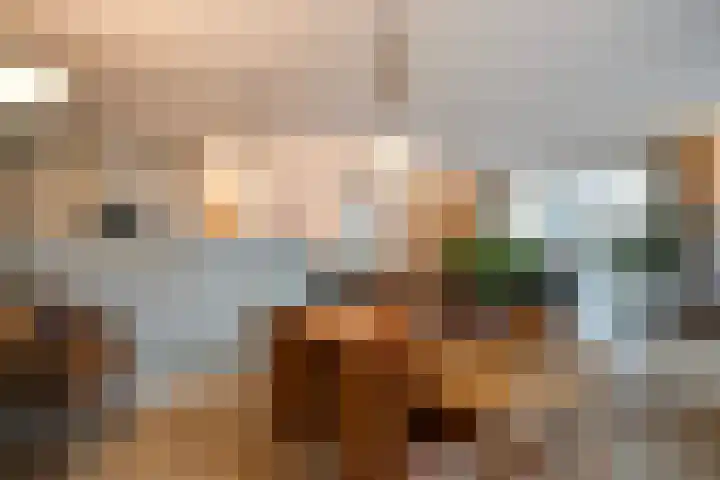 Wijndaelerweg 1 J Den Haag thumbnail 22