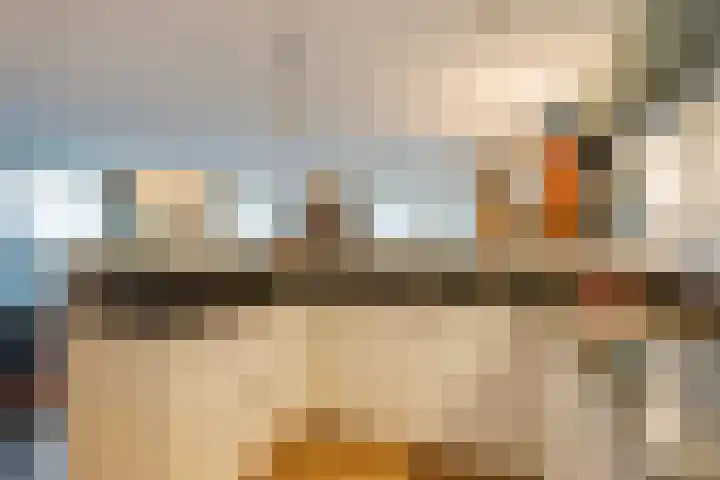 Wijndaelerweg 1 J Den Haag thumbnail 24
