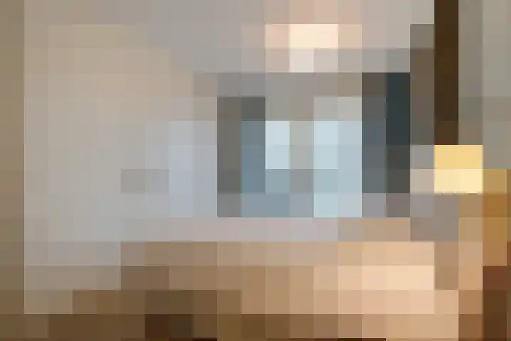 Wijndaelerweg 1 J Den Haag thumbnail 28