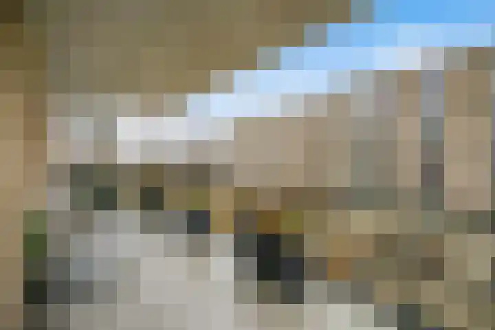 Wijndaelerweg 1 J Den Haag thumbnail 30