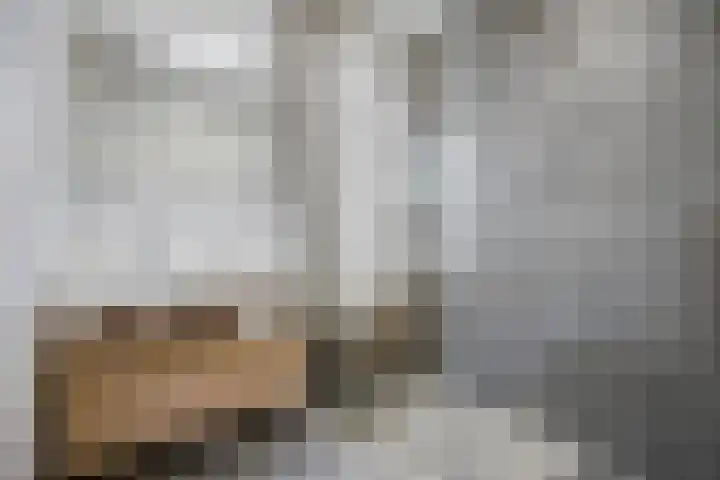 Wijndaelerweg 1 J Den Haag thumbnail 32