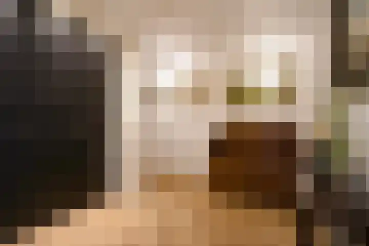 Wijndaelerweg 1 J Den Haag thumbnail 41