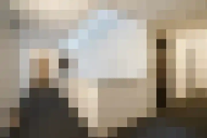 Wijndaelerweg 1 J Den Haag thumbnail 43