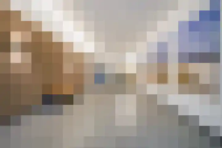 Wijndaelerweg 1 J Den Haag thumbnail 6