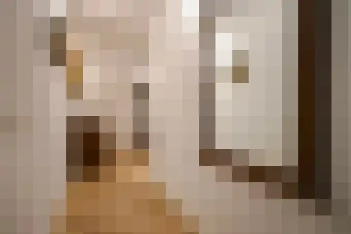Wijndaelerweg 1 J Den Haag thumbnail 9