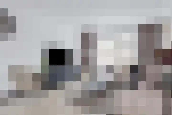 Wijnesteijnstraat 35 Nieuwegein thumbnail 17