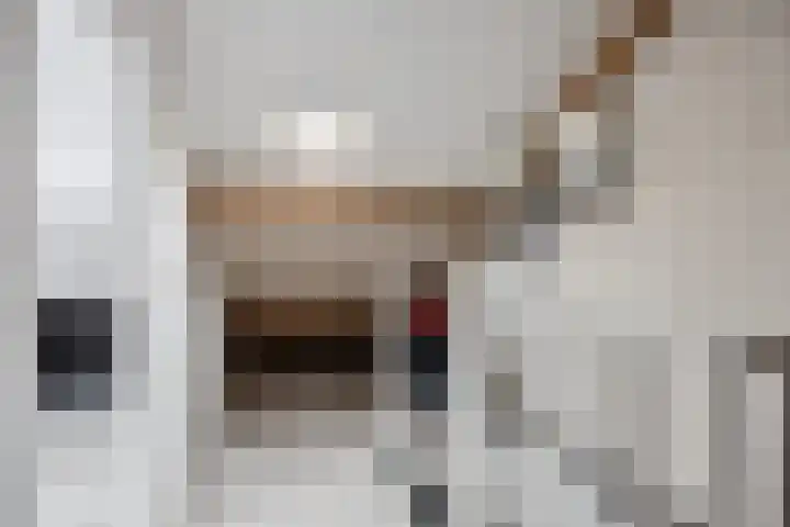 Wijnesteijnstraat 35 Nieuwegein thumbnail 30