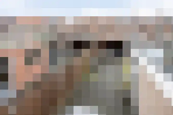 Wijnesteijnstraat 35 Nieuwegein thumbnail 33