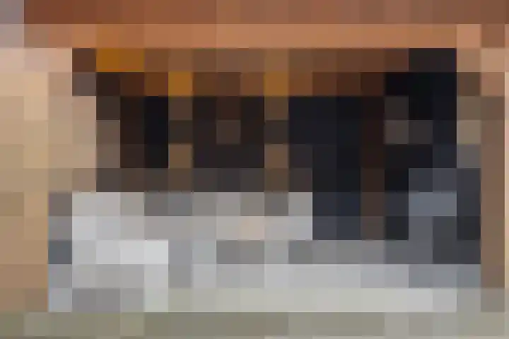 Wijnesteijnstraat 35 Nieuwegein thumbnail 36