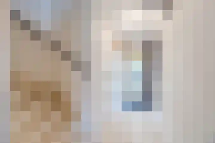 Wijngaard 10 Tilburg thumbnail 11