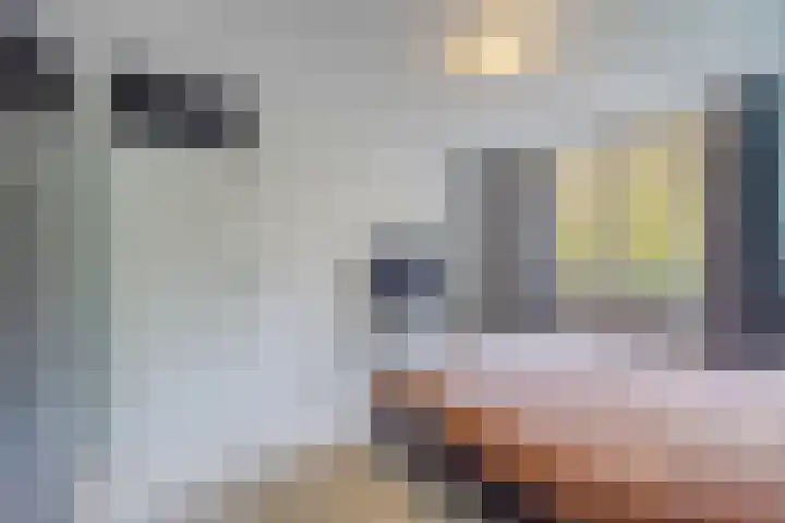 Wijngaard 10 Tilburg thumbnail 15