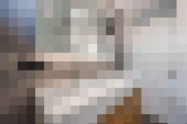Wijngaard 10 Tilburg thumbnail 20
