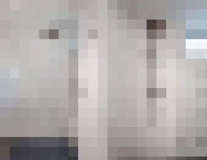 Wijngaard 10 Tilburg thumbnail 22