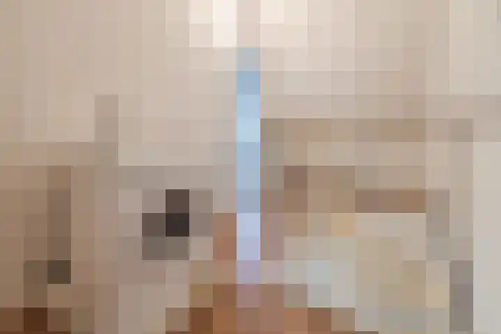 Wijngaard 10 Tilburg thumbnail 25