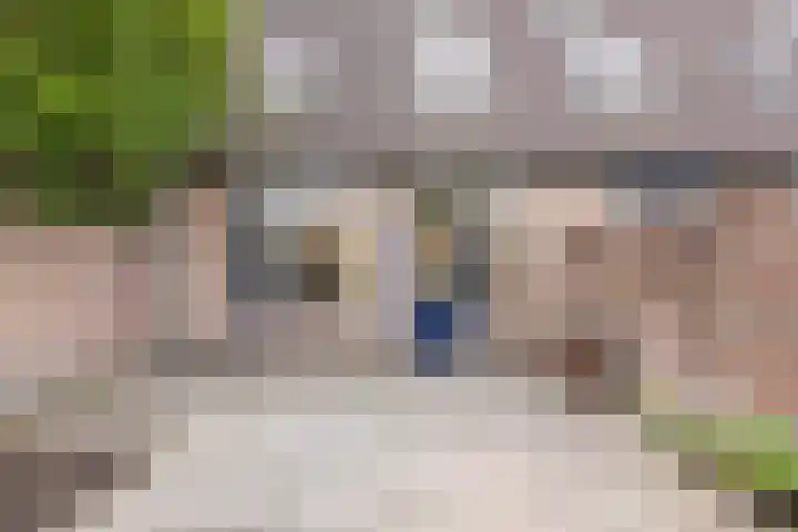 Wijngaard 10 Tilburg thumbnail 30