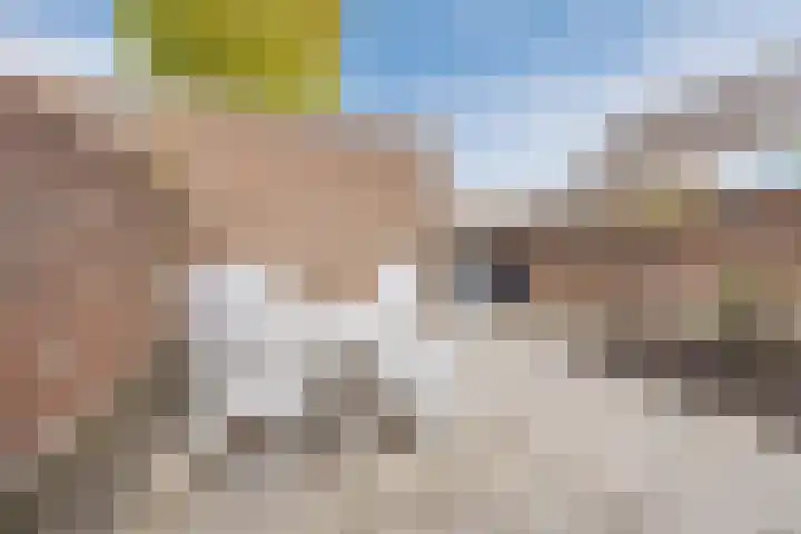Wijngaard 10 Tilburg thumbnail 31