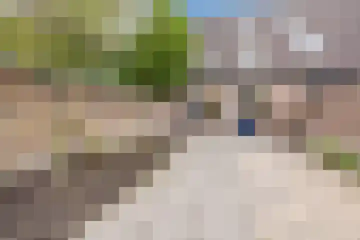 Wijngaard 10 Tilburg thumbnail 33