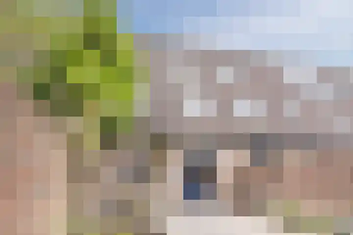 Wijngaard 10 Tilburg thumbnail 35