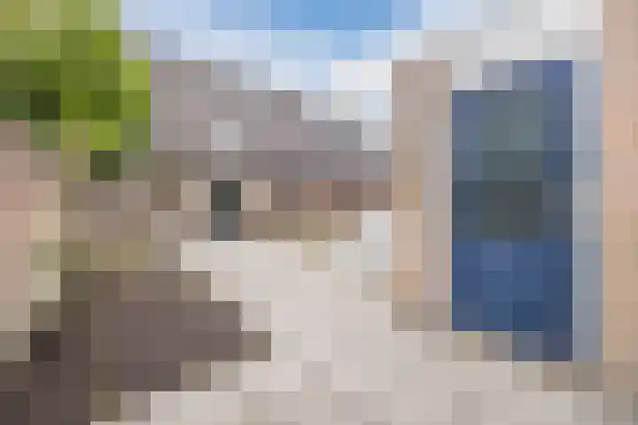 Wijngaard 10 Tilburg thumbnail 36