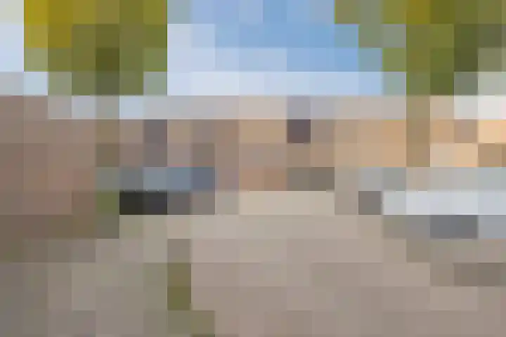 Wijngaard 10 Tilburg thumbnail 37