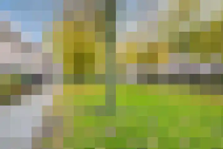 Wijngaard 10 Tilburg thumbnail 38