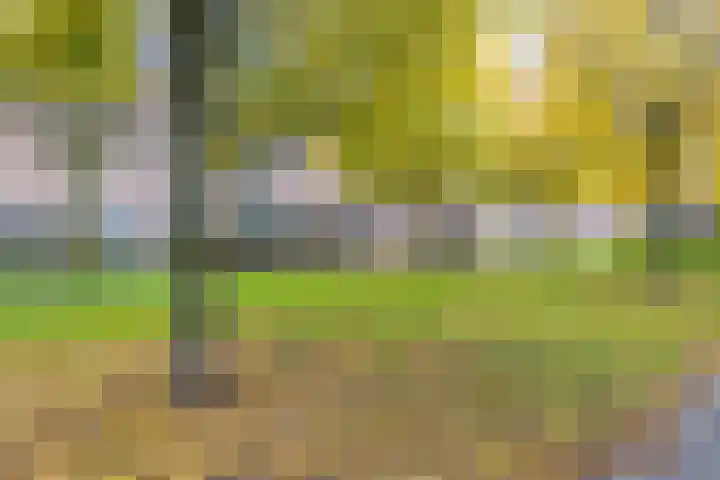 Wijngaard 10 Tilburg thumbnail 39