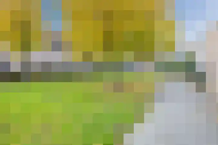 Wijngaard 10 Tilburg thumbnail 40