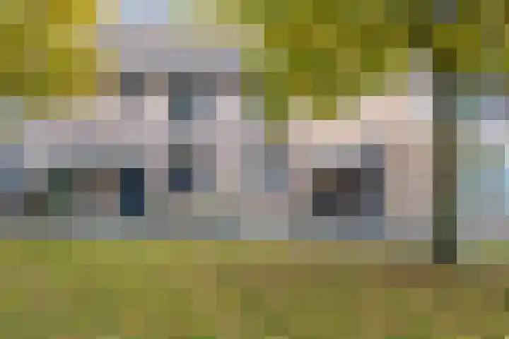 Wijngaard 10 Tilburg thumbnail 41