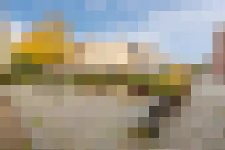 Wijngaard 10 Tilburg thumbnail 44