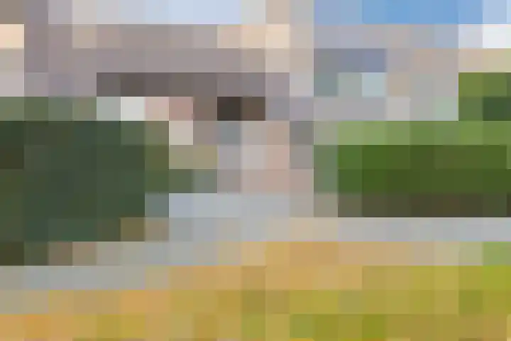Wijngaard 10 Tilburg thumbnail 45