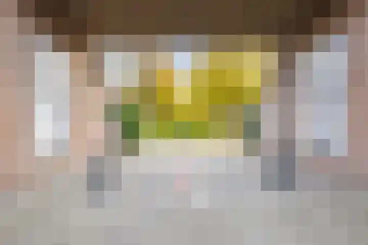 Wijngaard 10 Tilburg thumbnail 46