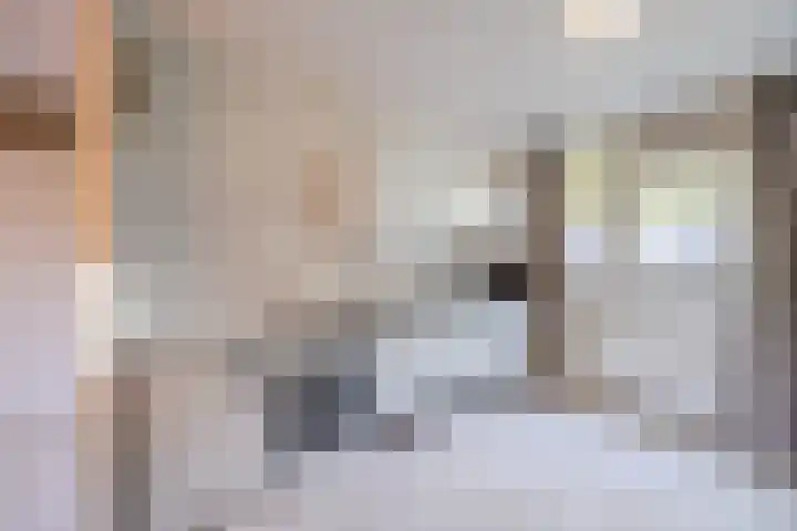 Wijngaard 10 Tilburg thumbnail 7