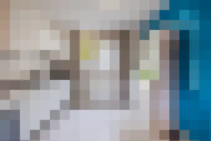 Wijngaard 10 Tilburg thumbnail 8
