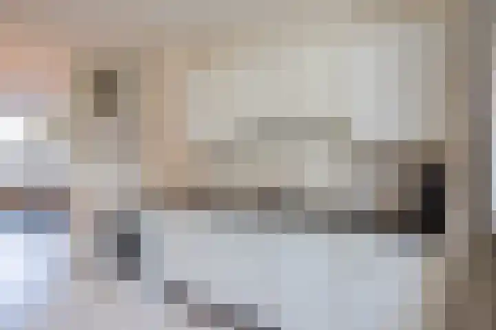 Wijngaard 10 Tilburg thumbnail 9