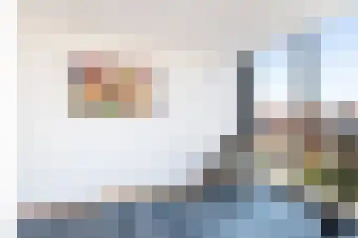 Wijngaard 13 Woerden thumbnail 11