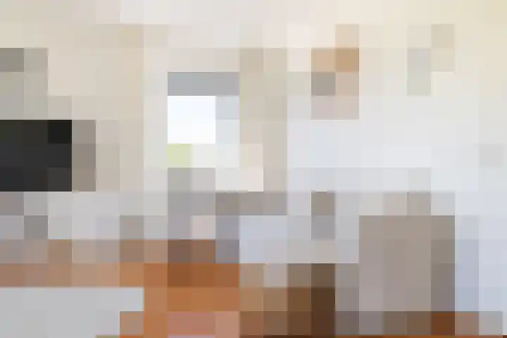 Wijngaard 13 Woerden thumbnail 22
