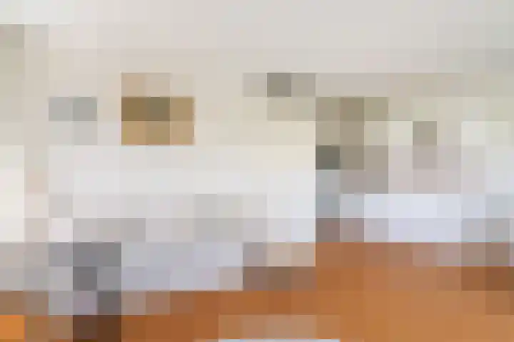Wijngaard 13 Woerden thumbnail 23