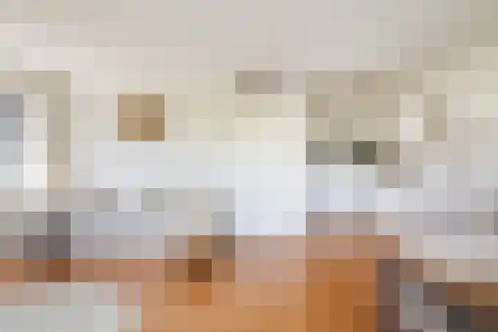 Wijngaard 13 Woerden thumbnail 24