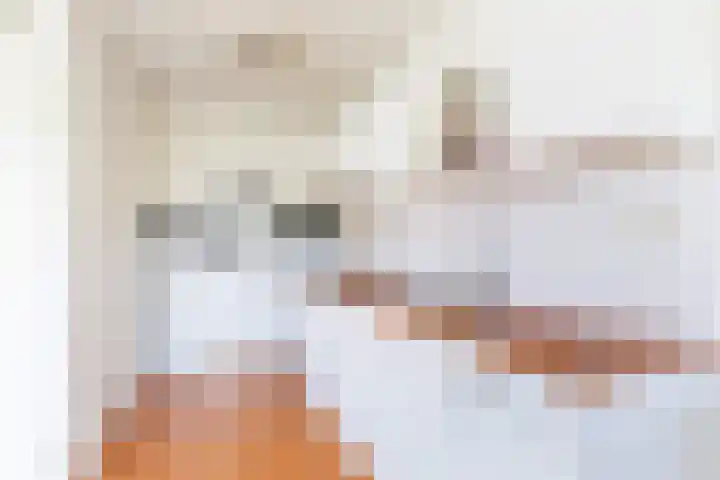 Wijngaard 13 Woerden thumbnail 28