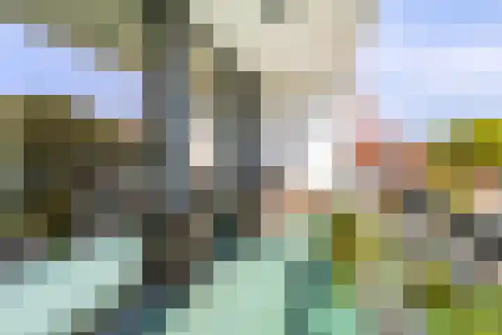 Wijngaard 13 Woerden thumbnail 32