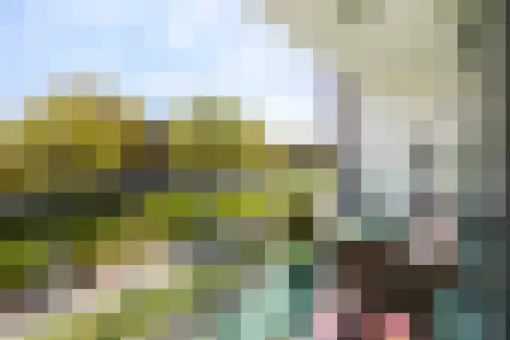 Wijngaard 13 Woerden thumbnail 33