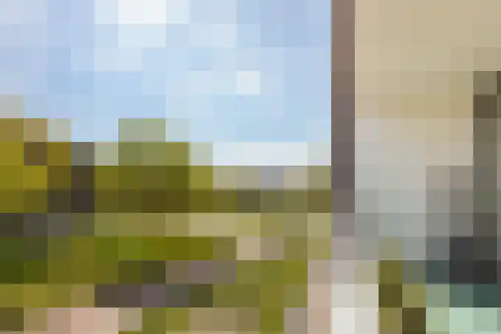Wijngaard 13 Woerden thumbnail 34