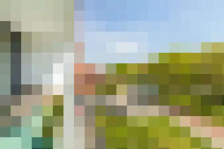 Wijngaard 13 Woerden thumbnail 35