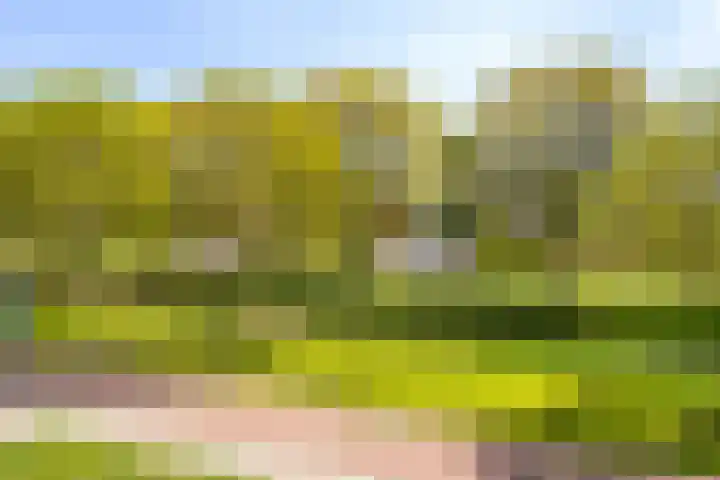 Wijngaard 13 Woerden thumbnail 36